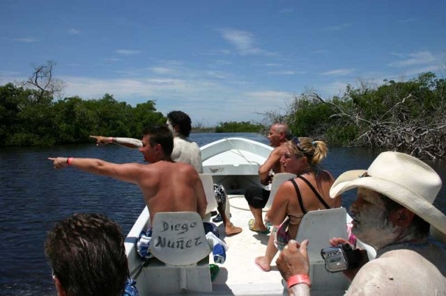  Promenades en bateau à travers les mangroves 